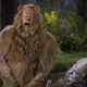 The Wizard of Oz